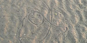 Clam trails in the sand